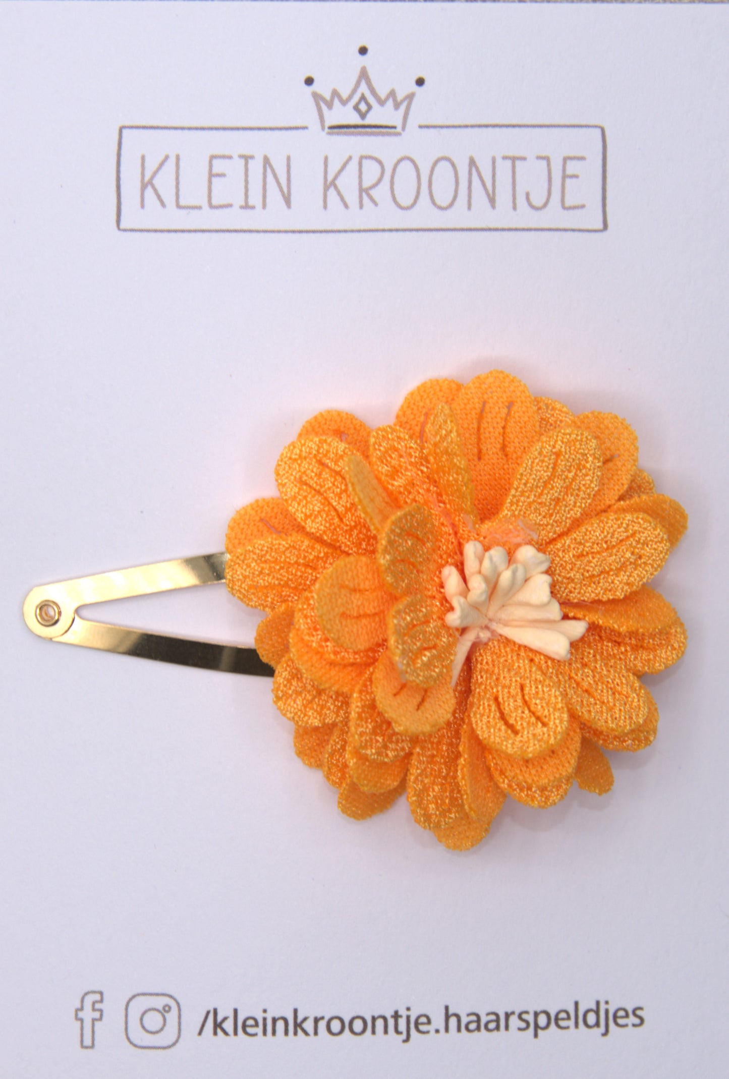Koningsdag - 19