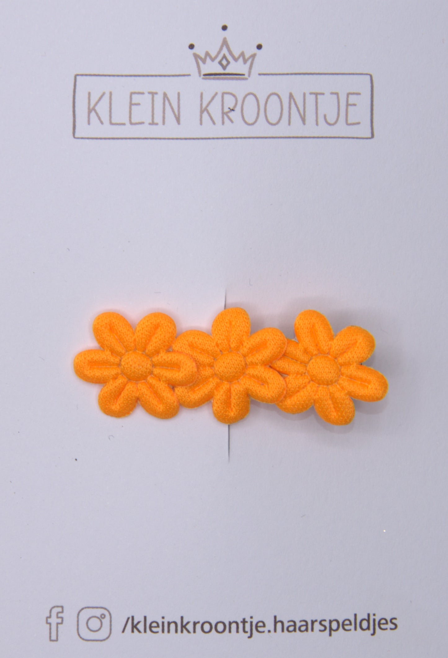 Koningsdag - 10