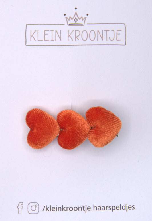 Koningsdag - 13