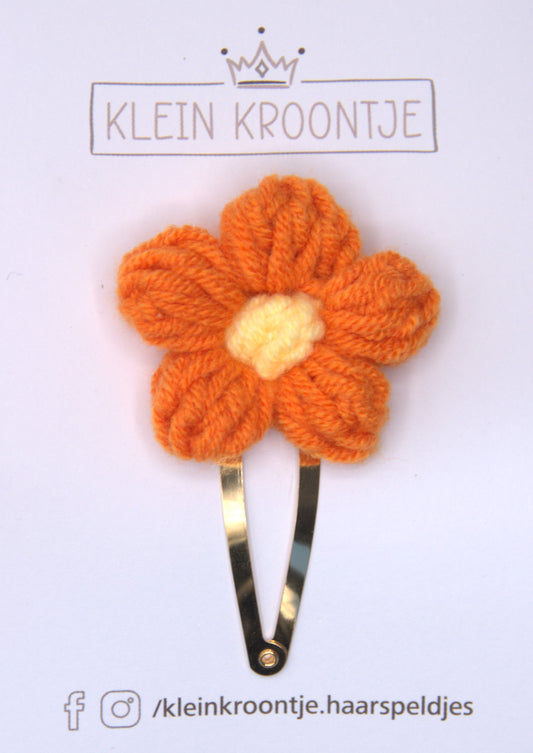 Koningsdag - 8